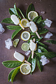 Sweet ice cream served with leaves and lemon slices