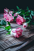 Soft pink roses on rough wooden table