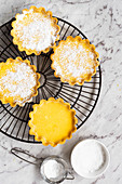 Lemon tarts dusted with icing sugar on a cake rack