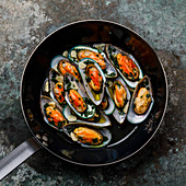 Mussels Clams Kiwi with garlic and parsley in cooking pan on metal background