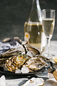Oysters served with champagne