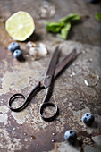 Scissors with Blueberries and Mint