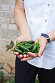 A woman holding green chili peppers