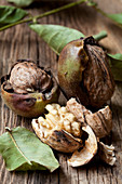 Fresh walnuts with green husks