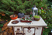 Vintage baking dish, succulents, bird ornament, cake tins and lanterns on old wood-fired stove used as decoration in garden