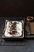 Schoko-Kaffee-Kuchen mit Sambuca-Creme