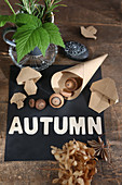 Autumnal still-life arrangement with origami mushrooms