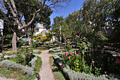 Schloßgarten mit Rosen und Lavendel