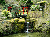 Japanischer Garten mit Bachlauf, Brücke, Steinlaterne und Koniferen