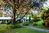 Landscape garden, path leads to the house