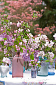 Blütenzweige von Apfelbaum und Flieder in Glasflaschen
