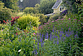 Staudenbeet im Cottage Garten mit Ehrenpreis, Kugeldistel und Wasserdost