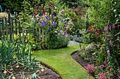 Rasenweg trennt Gemüsebeet und Blumenbeet, Clematis am Zaun
