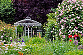 Englische Rose 'Constance Spry' und Pavillon