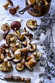 Freshly cut forest edible mushrooms on a towel and dried flowers