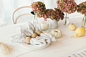 Herbstliche Tischdeko mit Kürbissen, Hortensienblüten und Stoffservietten