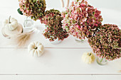 Herbstliche Tischdeko mit Hortensienblüten und Kürbissen