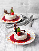 Mint parfait with chocolate in raspberry sauce