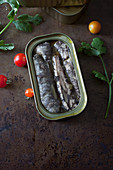 Open Tin of Sardines in Oil on a Metal Background