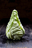 A pointed cabbage