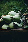 A basket of pears