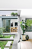 View from the living room into the courtyard with ground cover and in the dining area