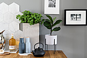 Bottle of oil, salt and pepper shakers, basil in concrete pot, teapot and houseplant against marble tiles and grey wall