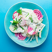 Chioggia fennel salad with yoghurt and mint dressing on a blue background
