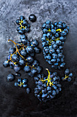 Drei verschiedene Sorten blaue Weintrauben (Dornfelder, Lavalee, Nero)
