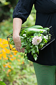 A woman carrying a basket of freshly harvested cucumbers and parsley