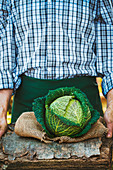 Farmers hands with freshly harvested kale