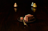 Ein Stück Schokoladen-Erdbeer-Eistorte auf Teller vor dunklem Hintergrund