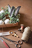 Speckled eggs, feathers and chickweed in box