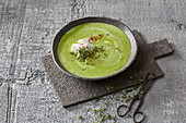 Cream of green pea soup with sour cream and cress