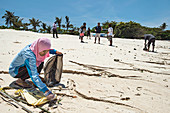 Collecting waste on a beach