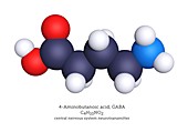 GABA neurotransmitter, molecular model