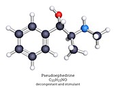 Pseudoephedrine decongestant, molecular model