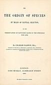 On the Origin of Species (1859)