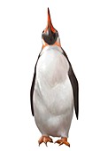 Perudyptes devriesi extinct penguin, illustration