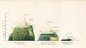 Mountain climates in different latitudes, 1810s