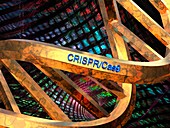 DNA model with CRISPR-Cas9 text, illustration