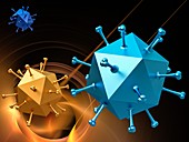 Icosahedral virus capsids, illustration