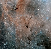 Dark Nebula Barnard 163