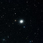 The Hercules Globular Cluster M13