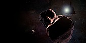 New Horizons encounters 2014 MU69, illustration