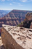 Grand Canyon zinc poisoning hazard