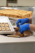 Macadamia nut chocolate-dipped cookie production