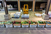 Overnight wholesale produce market, USA