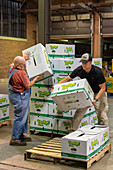 Overnight wholesale produce market, USA