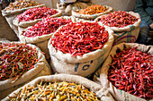 Khari Baoli spice market, New Delhi, India